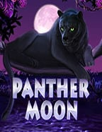 สล็อต ออนไลน์ walletjoker god 164 เกมยอดนิยมแห่งปี